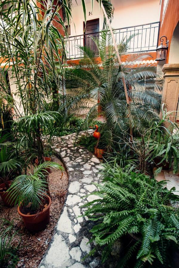Hotel Quinta Marciala Mx 바야돌리드 외부 사진