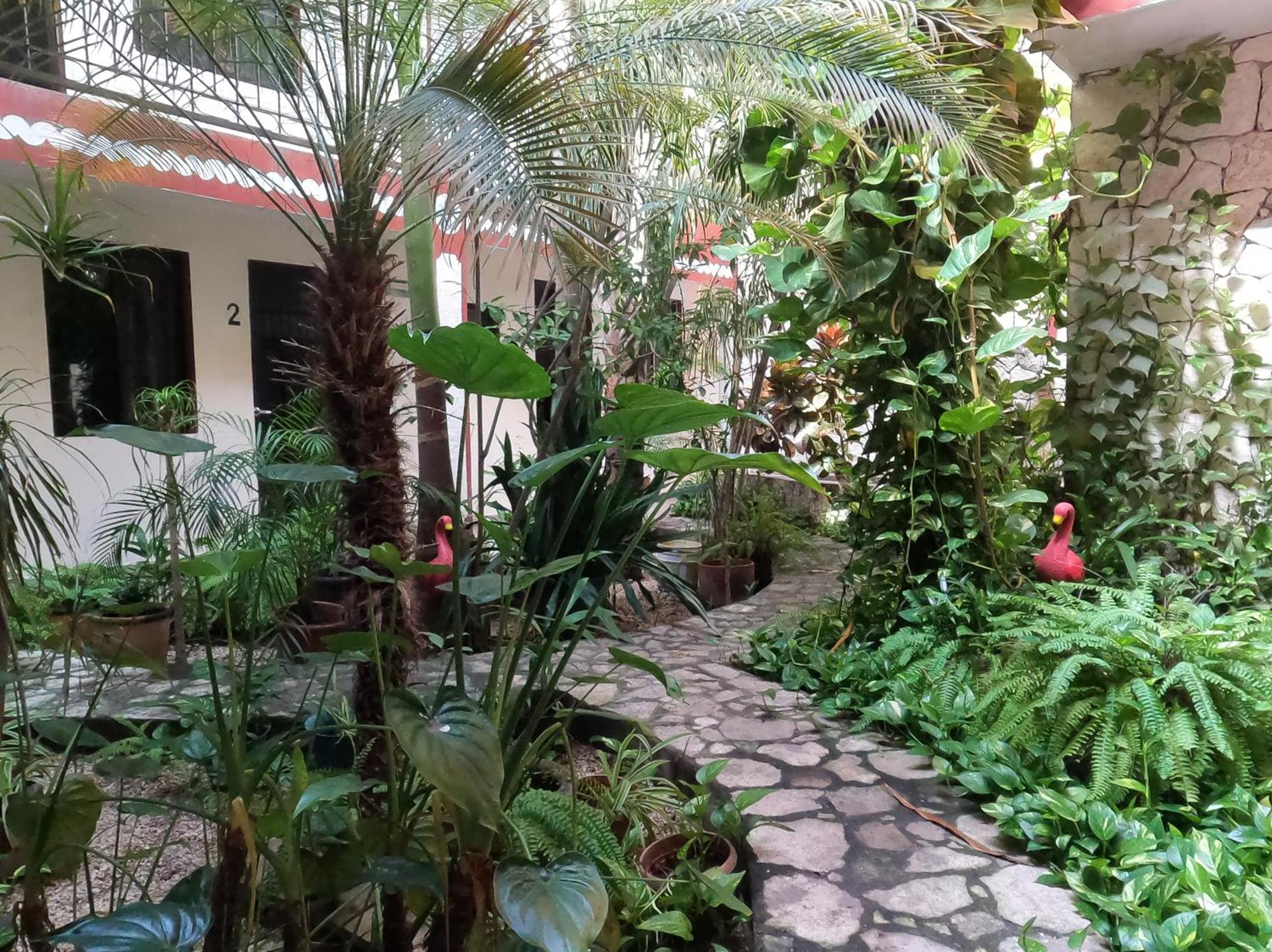 Hotel Quinta Marciala Mx 바야돌리드 외부 사진
